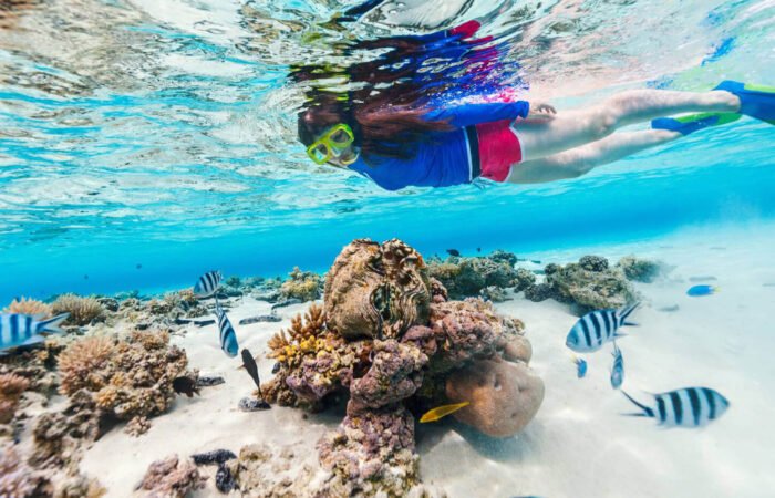 Snorkeling at Ras Mohammed National Park