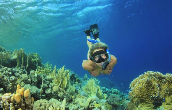 Snorkeling Trip to Sharm El-Luli and El-Qulaan, Marsa Alam