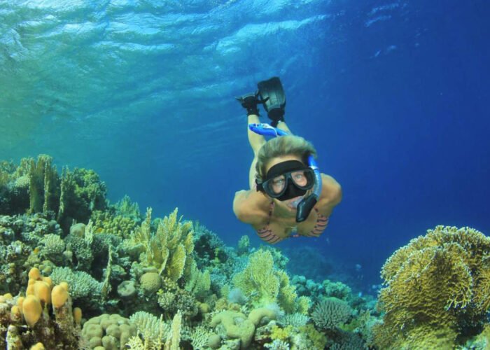 Snorkeling Trip to Sharm El-Luli and El-Qulaan, Marsa Alam