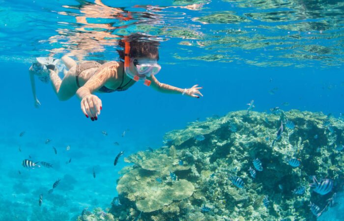 Paradise Island Snorkeling Trip From Hurghada