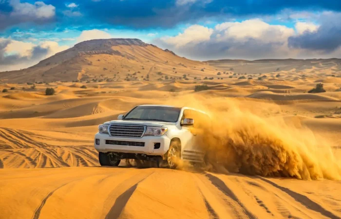 Fayoum Oasis Safari Adventure from Cairo