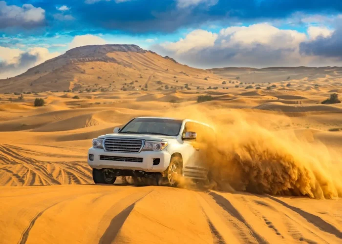 Fayoum Oasis Safari Adventure from Cairo